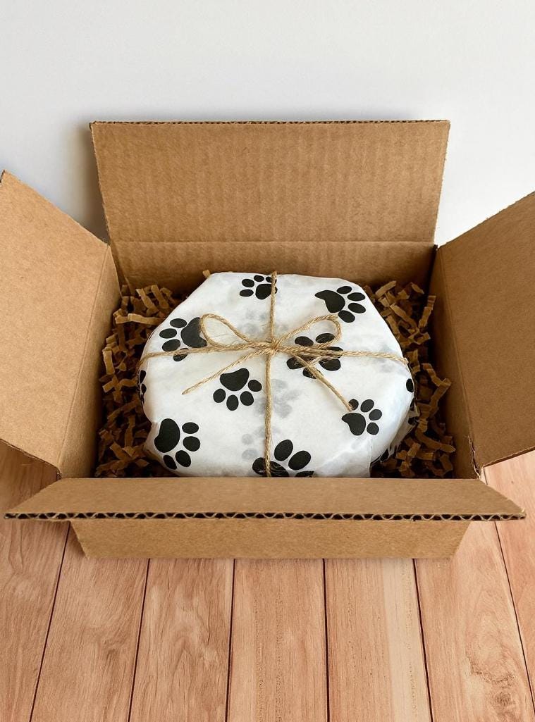 Personalized Hand-Painted Ceramic Pet Bowl: Blueberry Design