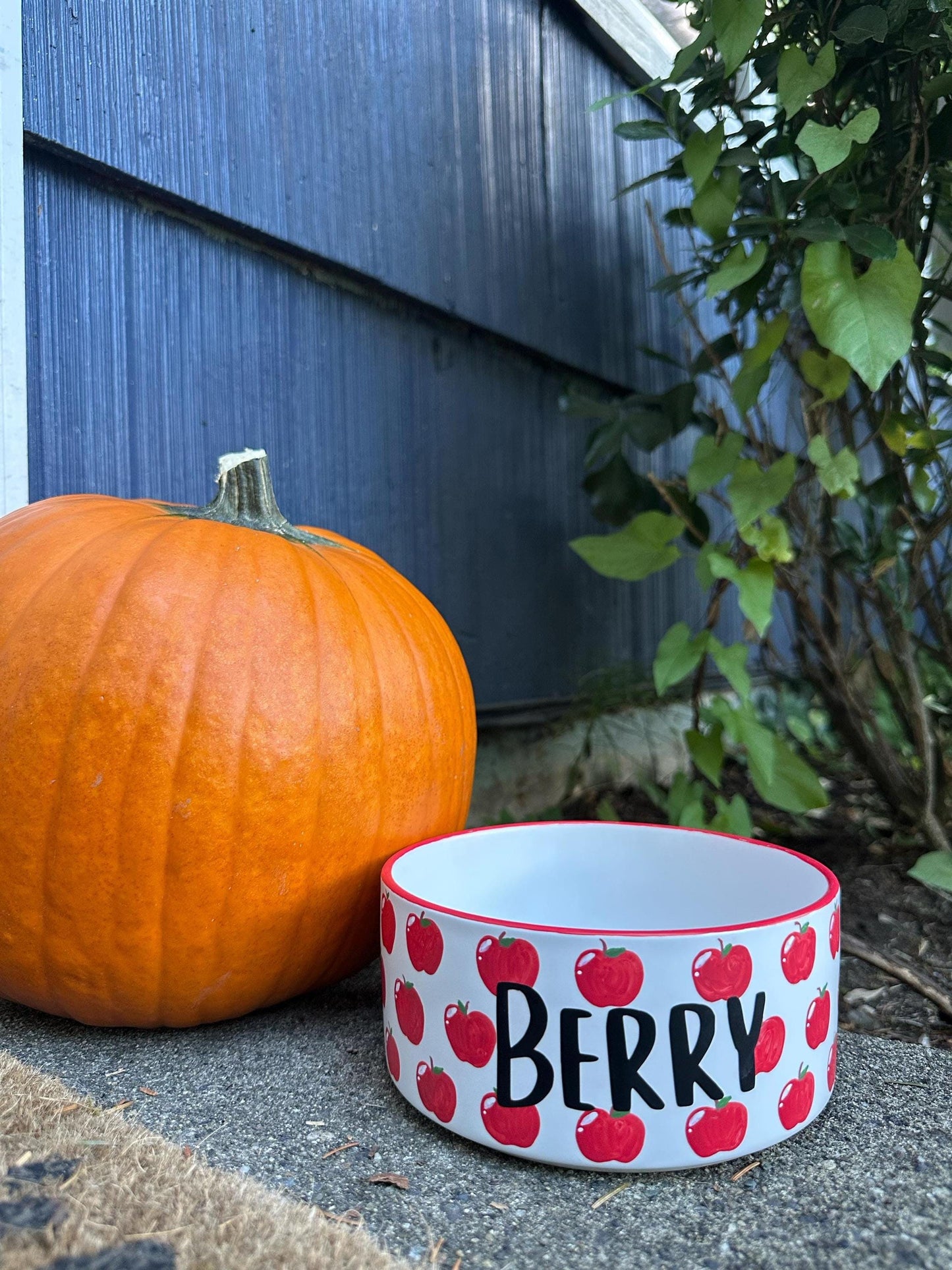 Personalized Apple Pet Bowl: Hand-Painted Ceramic Food or Water Dish