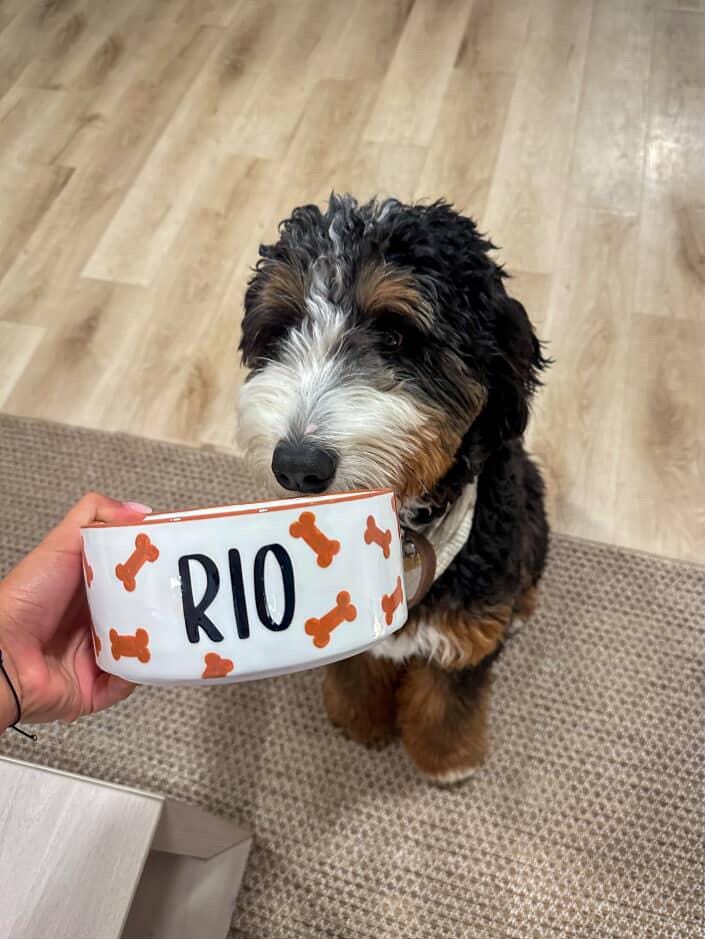 Personalized Brown Dog Bone Bowl: Hand-Painted Ceramic Food and Water Dish