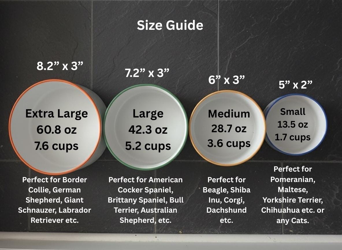 Personalized Hand-Painted Ceramic Pet Bowl Set: Blueberry Design