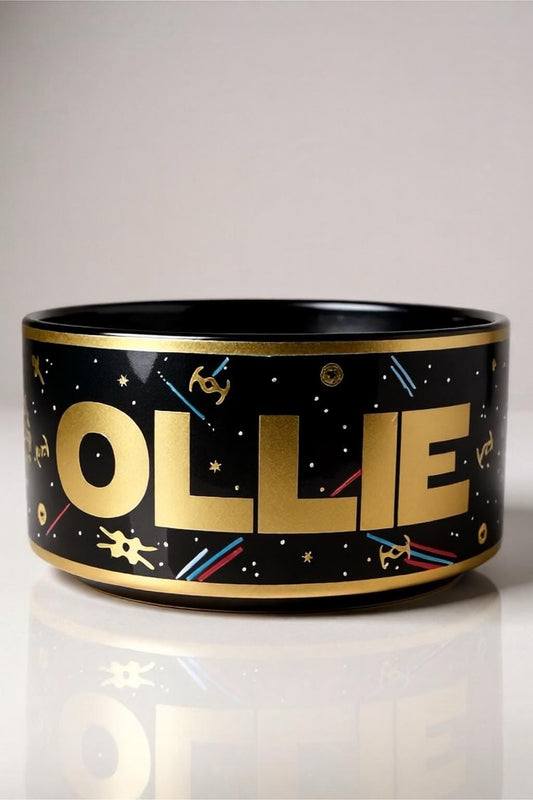 Personalized Galaxy Dog Bowl Medium/Large: Custom Space Theme Pet Dish