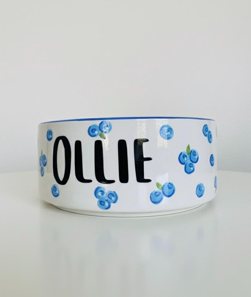 Personalized Hand-Painted Ceramic Pet Bowl: Blueberry Design