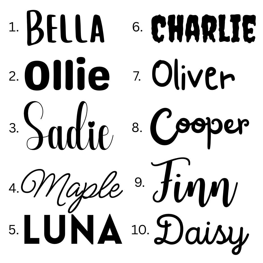 Personalized Hand-Painted Ceramic SMALL Dog and Cat Bowl Set: Fruit Design, Custom Name