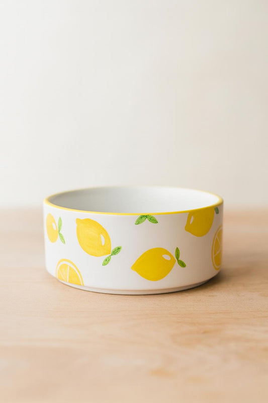 Hand-Painted Lemon Dog Bowl | Ceramic Food & Water Dish | Fun Pet Feeding Bowl
