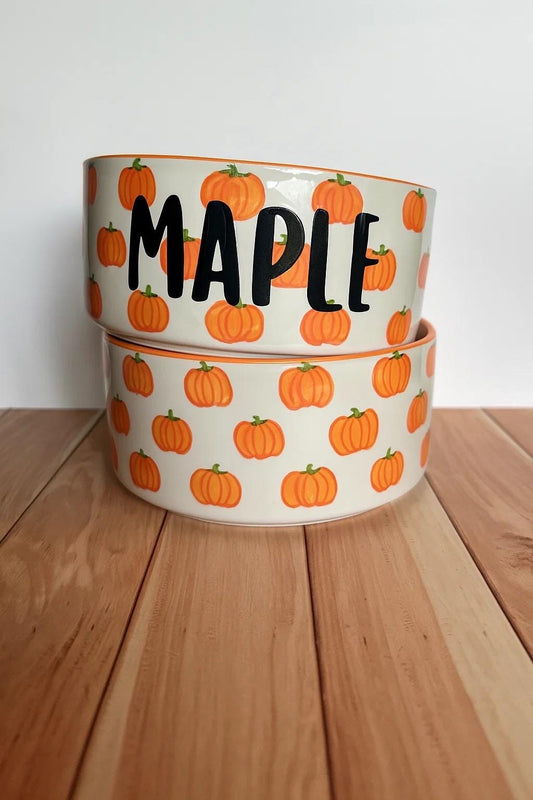 Personalized Pumpkin Pet Bowl Set: Hand-Painted Ceramic Food & Water Dish