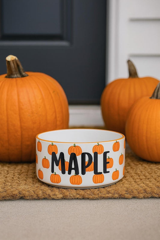 Personalized Pumpkin Pet Bowl: Hand-Painted Ceramic Food or Water Dish