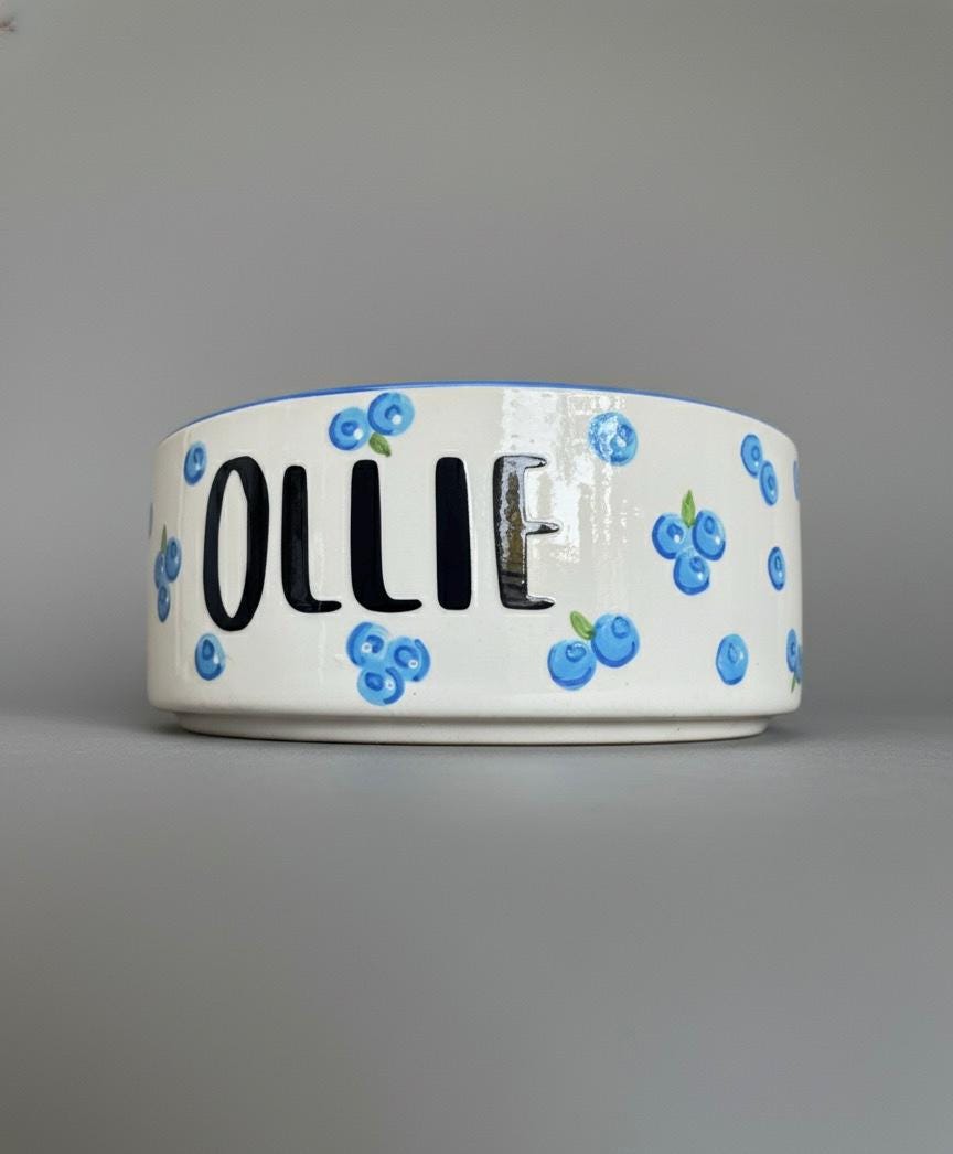 Personalized Hand-Painted Ceramic Pet Bowl: Blueberry Design