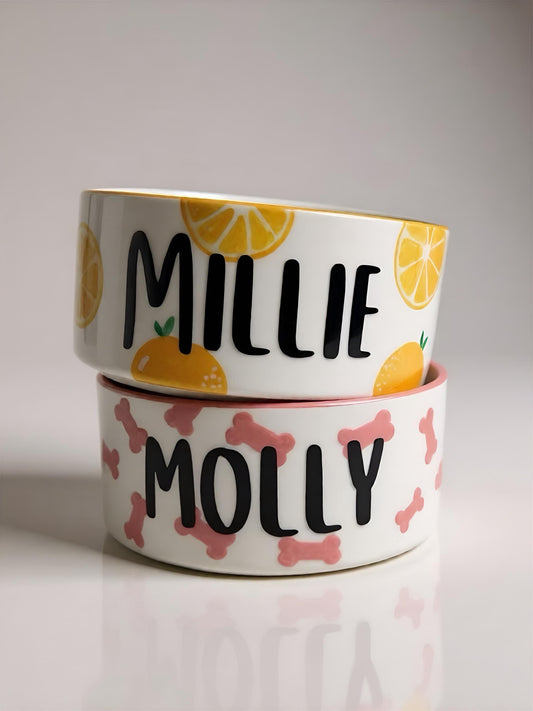 Personalized Hand Painted MIX MATCH Dog Bowl Set | Ceramic Pet Bowl Custom Dog Bowl Food & Water Dish