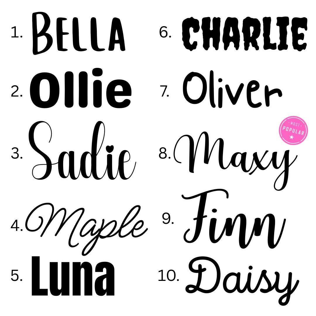 Personalized Donut with Sprinkles Pet Bowl | Hand-Painted Ceramic Food & Water Dish | Custom Dog Bowl