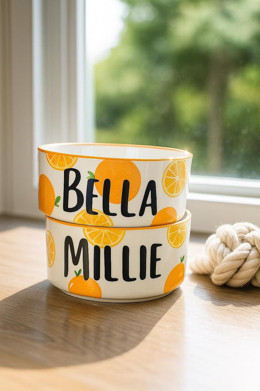 Personalized Orange Pet Bowl Set: Hand-Painted Ceramic Food & Water Dish