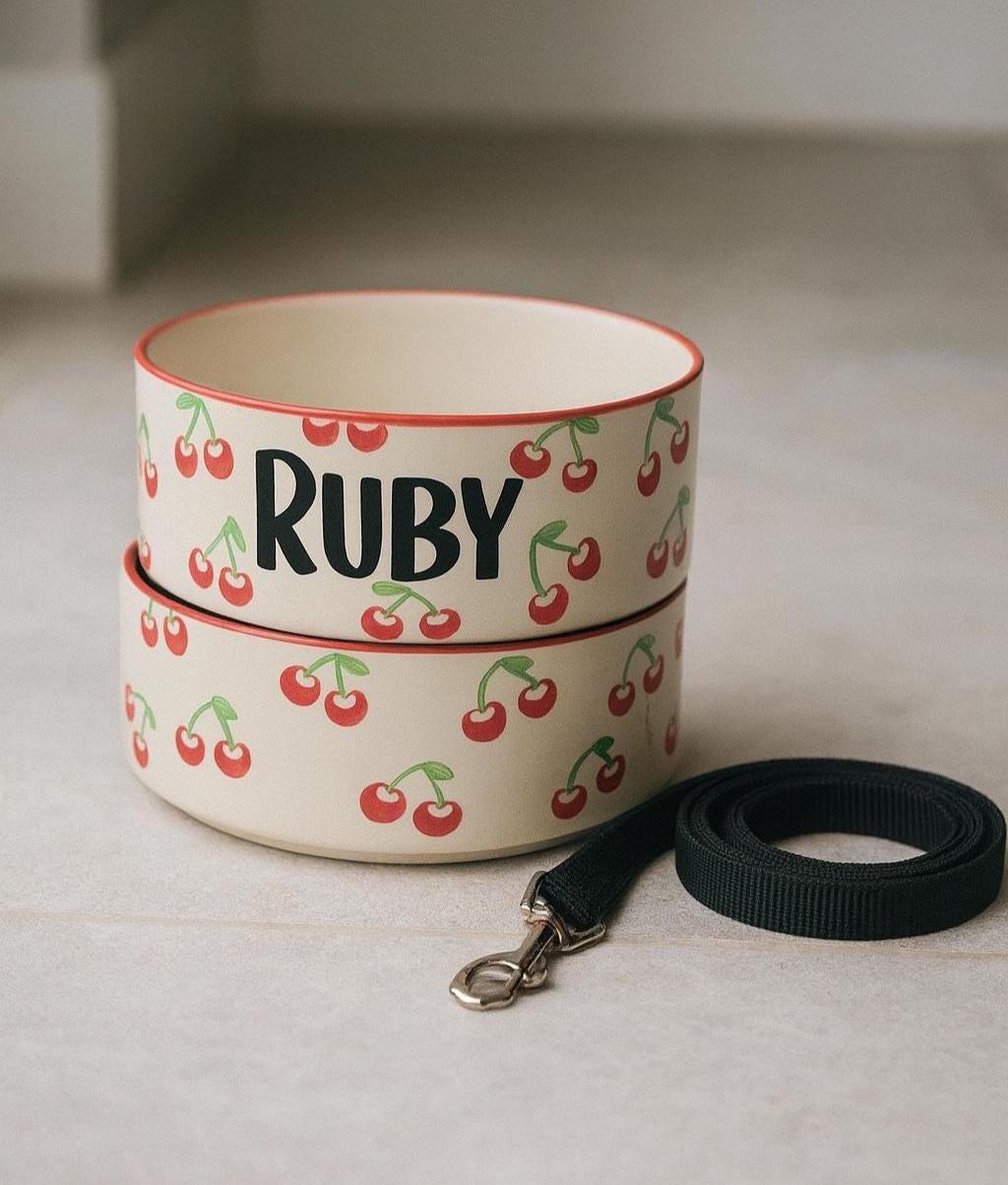 Personalized Hand-Painted Ceramic Pet Bowl Set: Cherry Design
