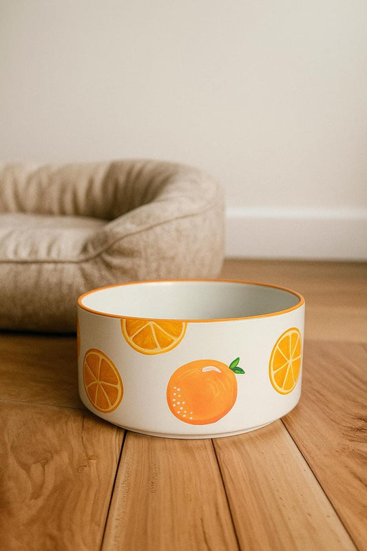 Orange Dog Bowl | Hand-Painted Ceramic Food & Water Dish | Pet Feeding Bowl Gift