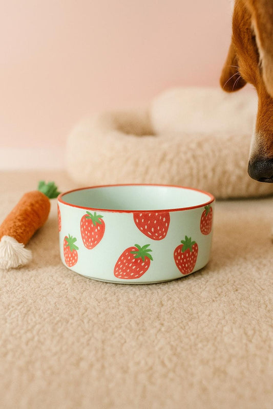 Hand-Painted Strawberry Dog Bowl | Ceramic Food & Water Dish | Fun Pet Feeding Bowl
