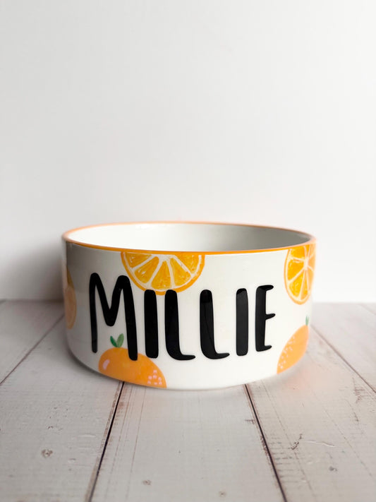 Personalized Orange Hand-Painted Ceramic Pet Bowl: Custom Dog or Cat Food Dish